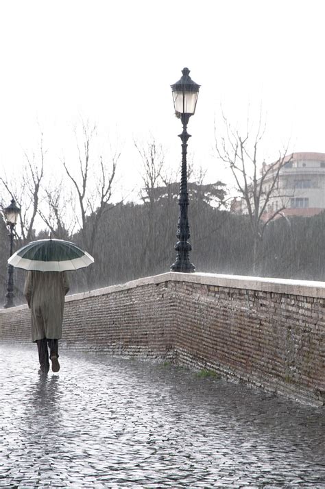 下雨天照片|超过 3100000 张关于“下雨天’”和“下雨天”的免费图片